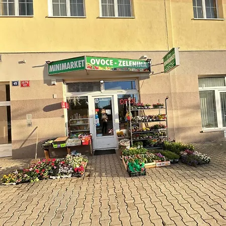 Light & Wood Design - 89 M2 In Praga